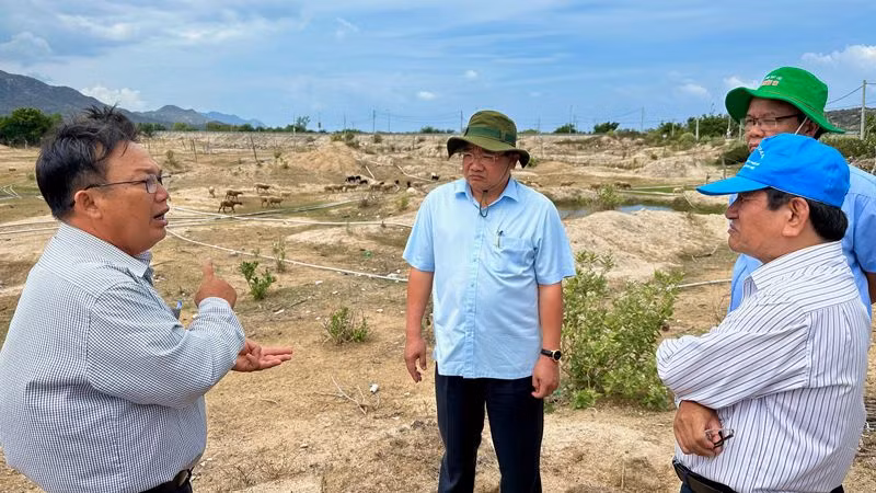 Đại diện lãnh đạo huyện Ninh Hải báo cáo tình hình khô hạn tại địa phương đang tác động tiêu cực đến sản xuất, chăn nuôi và sinh hoạt của người dân nơi đây.