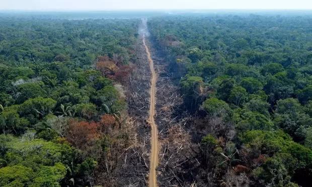 Một khu vực rừng bị chặt phá dọc đường BR-230, xa lộ xuyên Amazon, ở Humaitá, bang Amazonas, Brazil. Ảnh: Getty Images