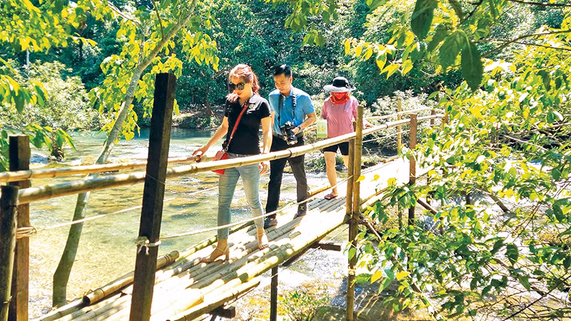 Khách du lịch tản bộ thăm rừng ở xã Trường Sơn, huyện Quảng Ninh.