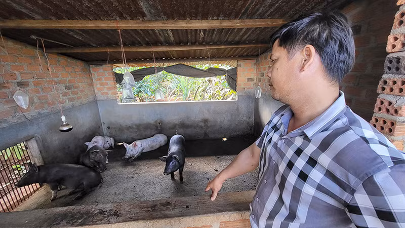 Lãnh đạo chính quyền thị trấn Ia Ly kiểm tra thực tế tại hộ chăn nuôi.