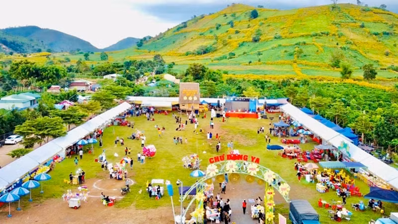 Tuần lễ Hoa dã quỳ-Núi lửa Chư Đang Ya năm 2023.