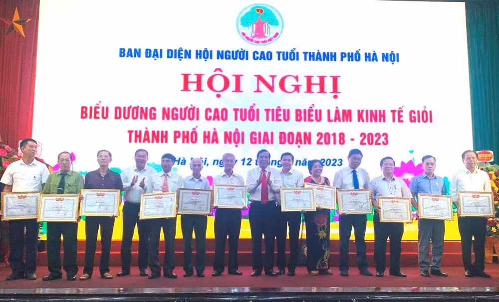 Những tấm gương người cao tuổi làm kinh tế giỏi tiêu biểu được nhận Bằng khen.