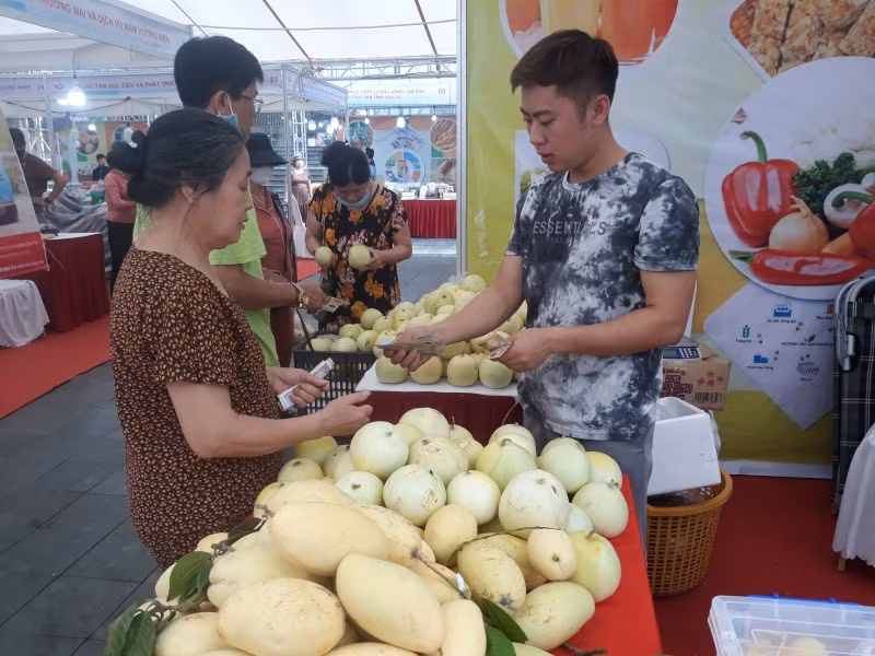 Người tiêu dùng mua sắm các sản phẩm nông sản, thực phẩm an toàn.