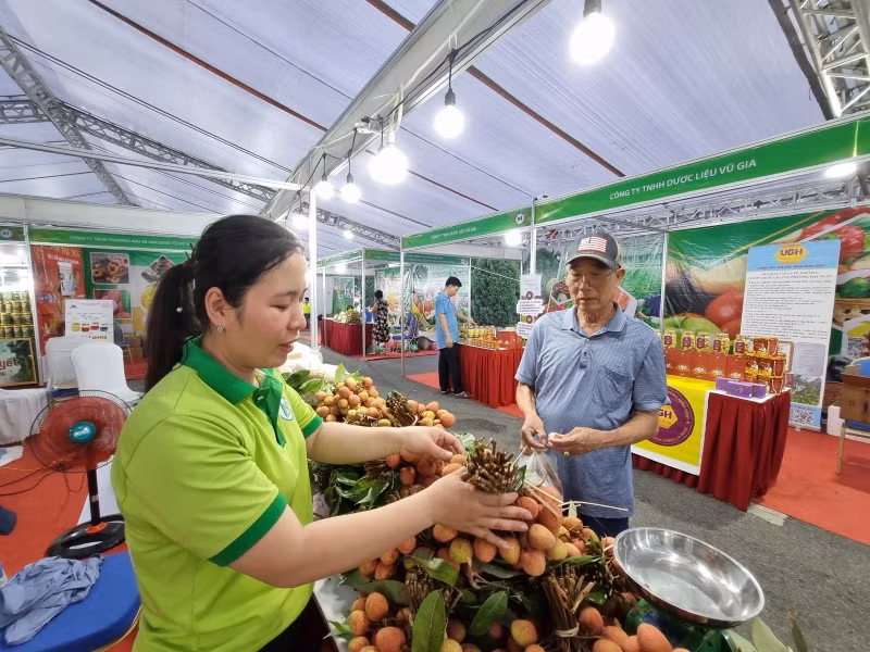Người tiêu dùng tìm mua các loại trái cây đặc sản của các tỉnh, thành phố. 