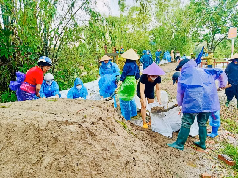 Lực lượng chức năng và nhân dân xã Đại Áng, huyện Thanh Trì (Hà Nội) khẩn trương thực hiện các giải pháp gia cố, chống sạt đê tả sông Nhuệ, gần trạm bơm tiêu Hòa Bình.