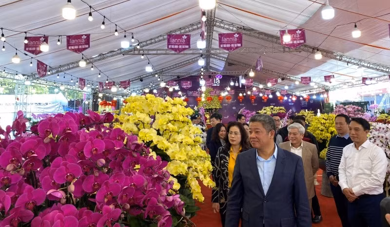 Lãnh đạo thành phố Hà Nội đi kiểm tra điểm chợ hoa Xuân trên địa bàn quận Nam Từ Liêm.