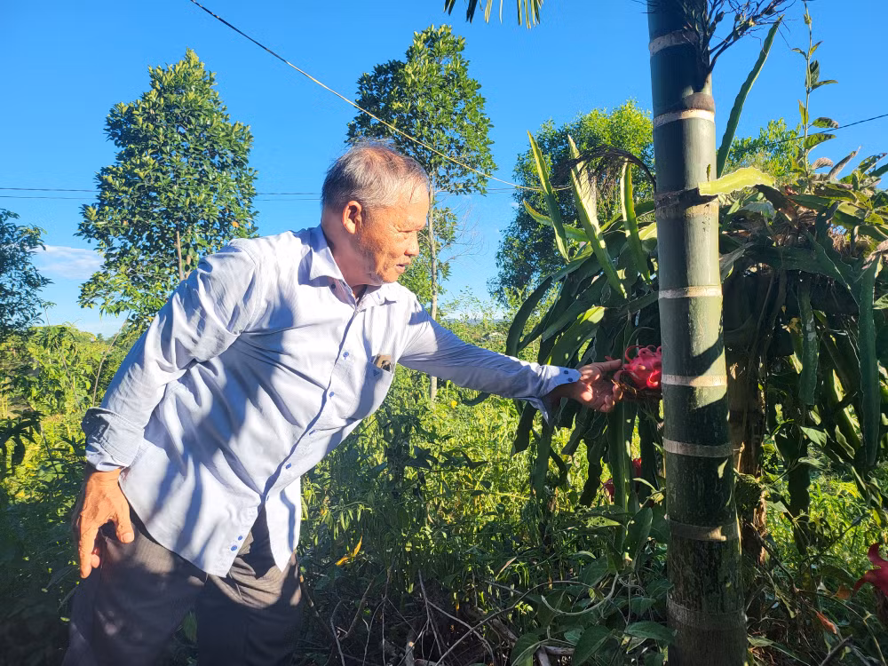 Rời bỏ tà đạo, ông Nguyễn Công Châu đã có một cuộc sống vui vẻ, ý nghĩa.