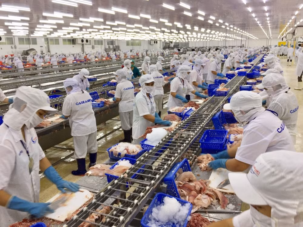 Nhiều doanh nghiệp thủy sản đang quan tâm đến thị trường trong nước. Ảnh: Hoàng Vũ