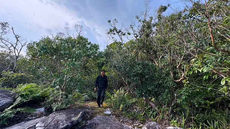 Lực lượng bảo vệ rừng thường xuyên tuần tra, bảo vệ hệ sinh thái nguyên sinh.