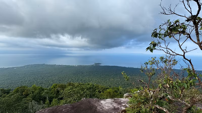 Từ trên cao nhìn xuống, rừng, biển bao la như hòa làm một.