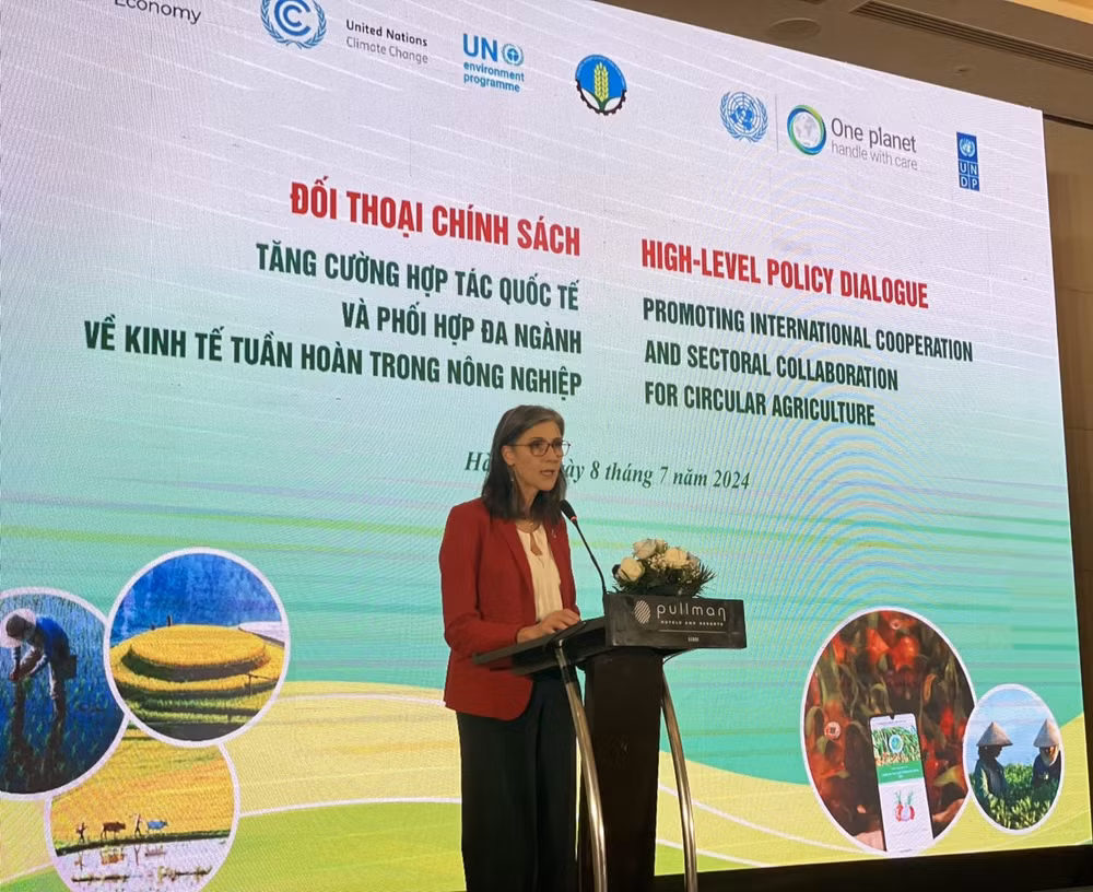 Bà Ramla Khalidi, Trưởng đại diện thường trú UNDP tại Việt Nam phát biểu tại Hội nghị.