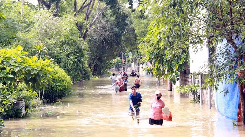 Nhiều khu vực tại huyện Chương Mỹ bị ngập úng trong những ngày qua.