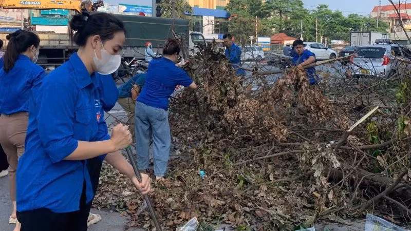 Thu dọn cây xanh gãy đổ sau bão. 