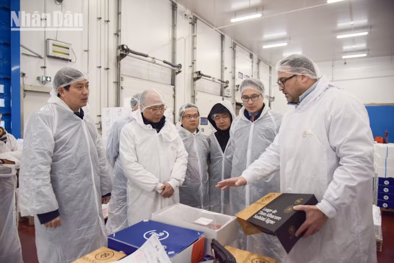 Các sản phẩm cá ngừ đỏ của tập đoàn Barba có tiếng vang lớn trong lĩnh vực nhà hàng. (Ảnh: MINH DUY)