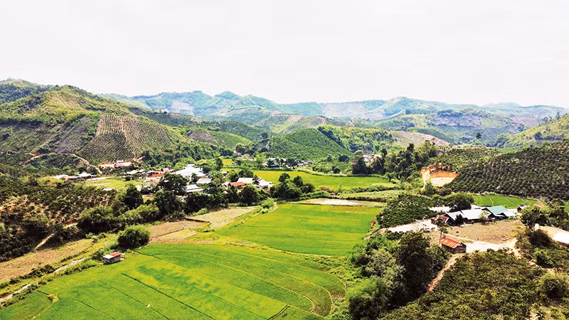 Đắk Nông đặt mục tiêu giảm nghèo chung của tỉnh từ 3% trở lên, riêng vùng đồng bào dân tộc thiểu số tại chỗ giảm từ 5% trở lên trong năm 2023.