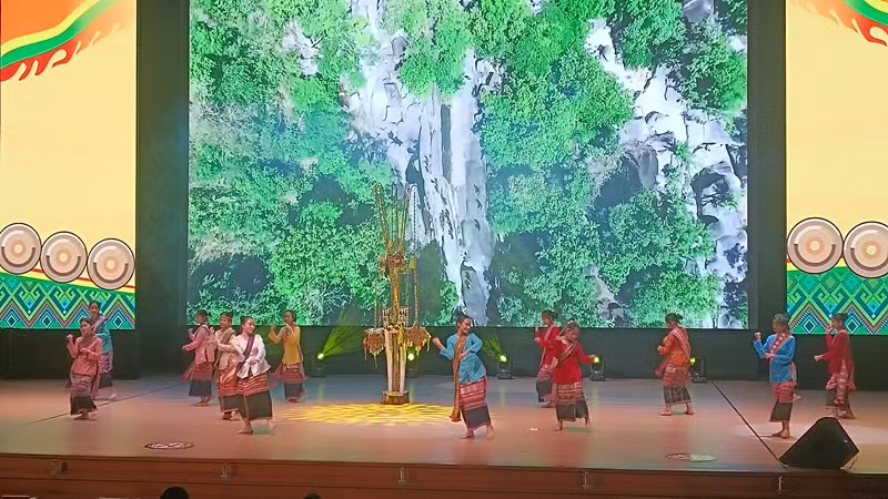 Nhiều chương trình nghệ thuật qua sự biểu diễn của các nghệ nhân vừa đa dạng, vừa phong phú cả nội dung và hình thức.