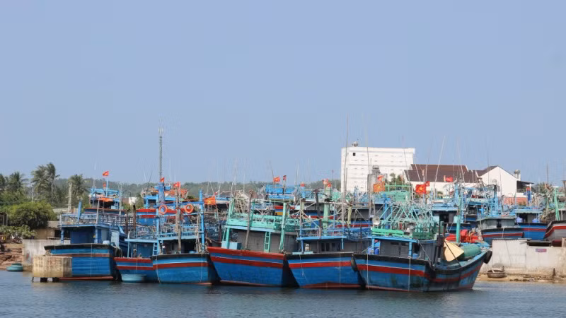 Bình Định đang siết chặt kiểm soát tàu cá, bảo đảm tất cả tàu thuyền khai thác đúng vùng được phép.
