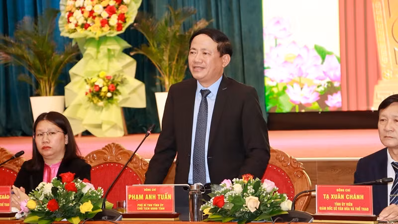 Chủ tịch Ủy ban nhân dân tỉnh Bình Định Phạm Anh Tuấn phát biểu tại hội nghị.