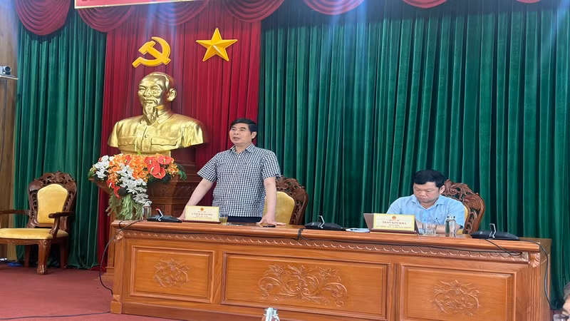 Phó Chủ tịch Ủy ban nhân dân tỉnh Bình Định Lâm Hải Giang phát biểu ý kiến tại buổi họp.