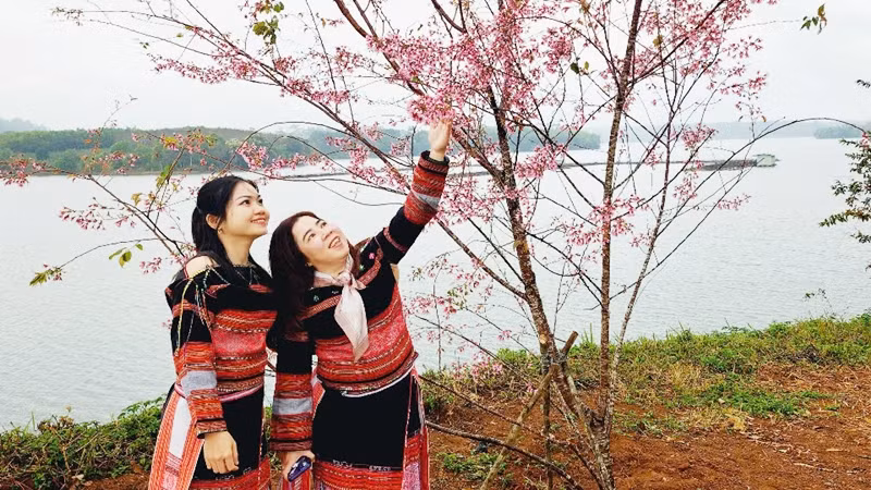 Tạo dáng bên hoa đào.