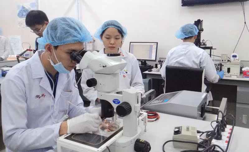 Nghiên cứu khoa học tại Trường Đại học Quốc tế, Đại học Quốc gia TP Hồ Chí Minh.