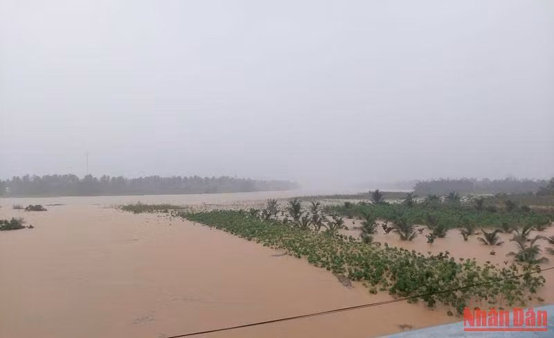 Mưa lớn cũng gây ngập lụt tại nhiều nơi của huyện Hoài Ân, tỉnh Bình Định.