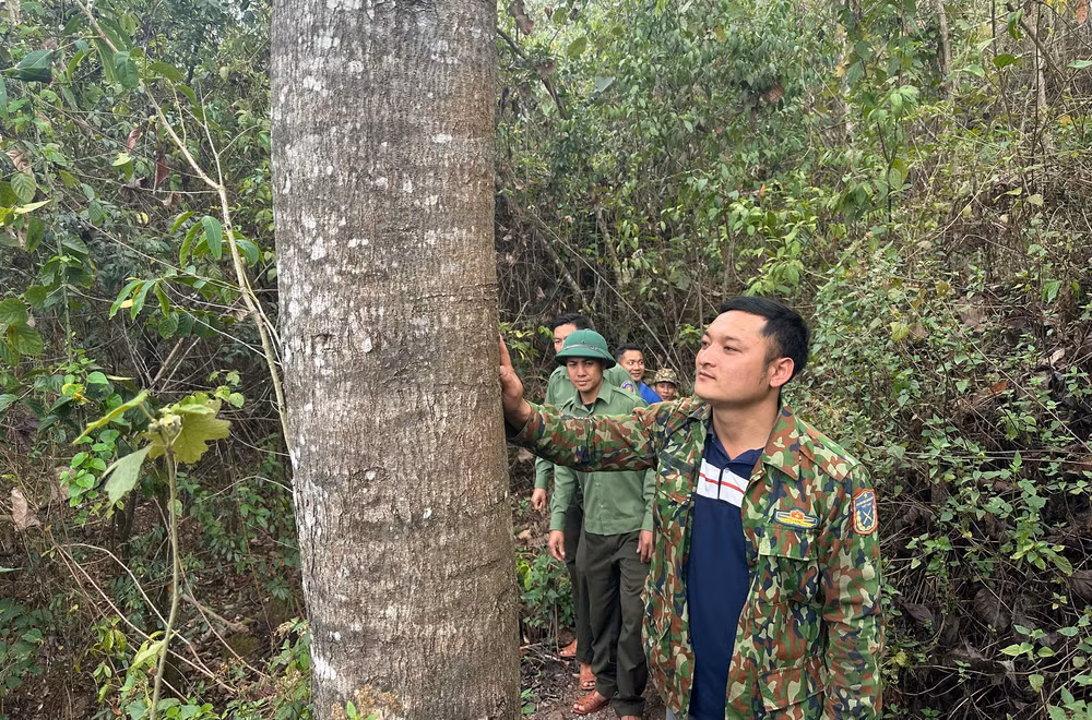 Người dân huyện Mường Nhé tuần tra bảo vệ rừng.