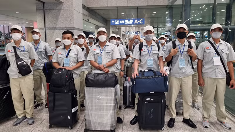 Lao động đi làm việc ở nước ngoài theo hợp đồng. (Ảnh: Colab)