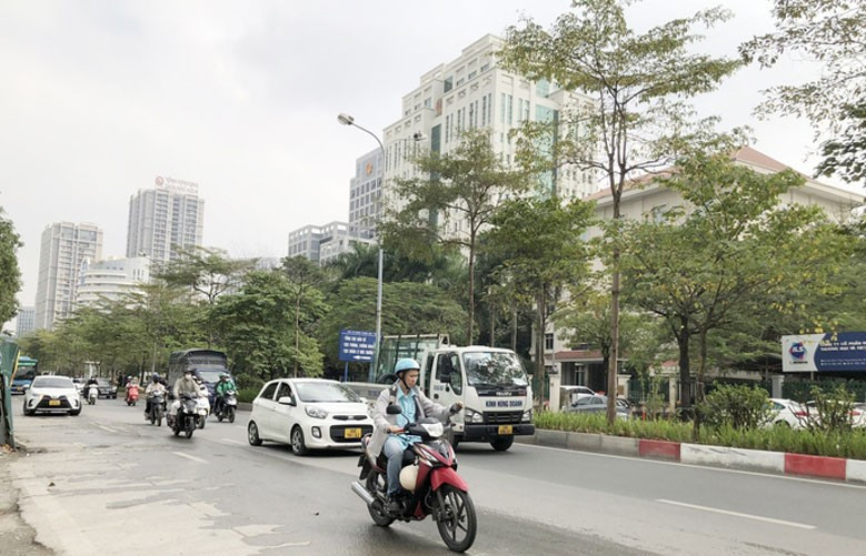 Ảnh minh họa.