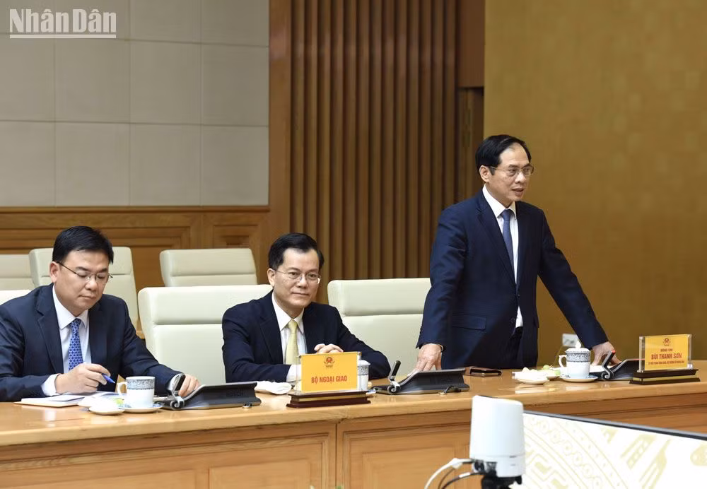 Bộ trưởng Ngoại giao Bùi Thanh Sơn phát biểu.