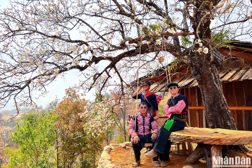 Một số chủ hộ như anh Thào A Vạng, anh Kháng A Lệnh... nhanh nhạy và tâm huyết với việc làm du lịch cộng đồng, vừa học hỏi từ các mô hình thành công ở địa phương khác, vừa tìm cách liên kết và cùng nhau phát triển.