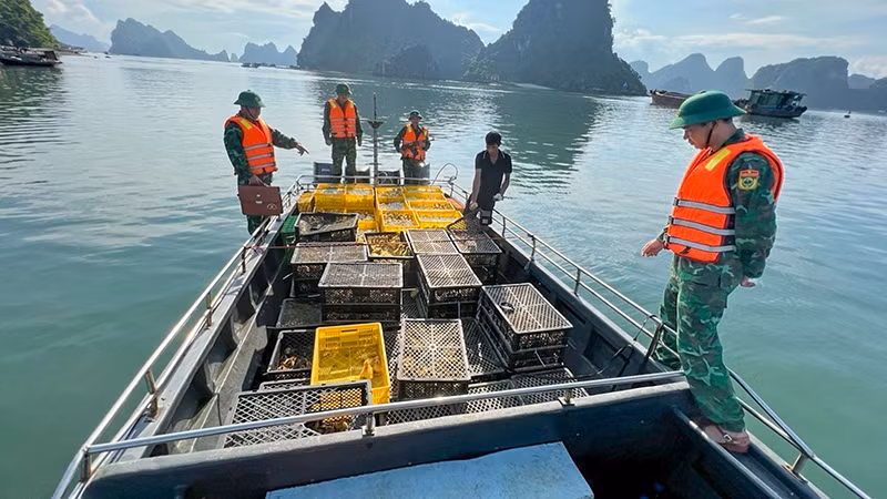 Cán bộ, chiến sĩ bộ đội biên phòng tỉnh Quảng Ninh bắt giữ phương tiện chở gia cầm và trứng gia cầm nhập lậu trên vùng biển xã Quan Lạn, huyện Vân Đồn. (Ảnh Xuân Hùng)