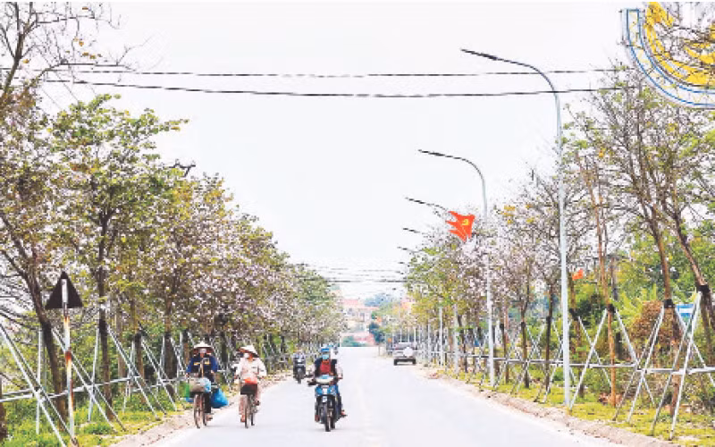 Đường giao thông nông thôn ở xã Yên Mỹ, huyện Thanh Trì. (Ảnh Thanh Hồng)