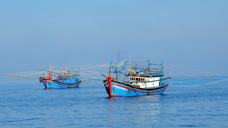 Tàu cá Bình Thuận tuân thủ các quy định khi đánh bắt hải sản tại vùng biển Phú Quý. 