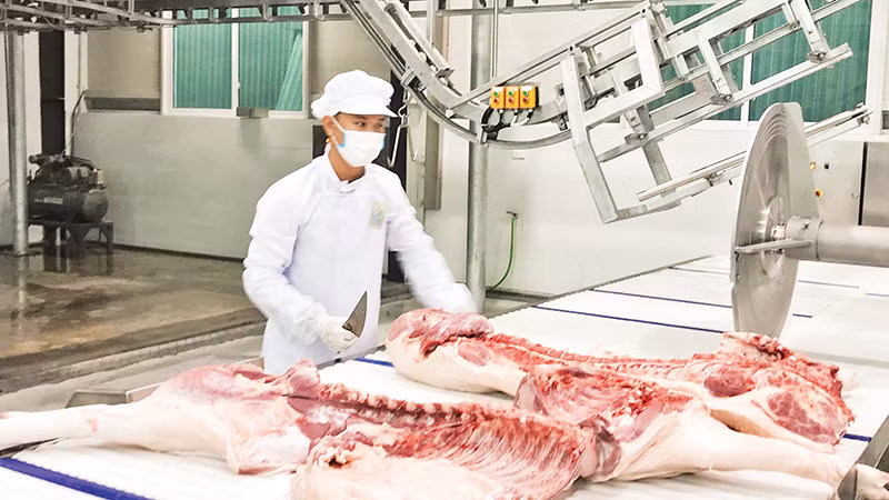 Dây chuyền giết mổ gia súc, gia cầm hiện đại tại huyện Thanh Trì.