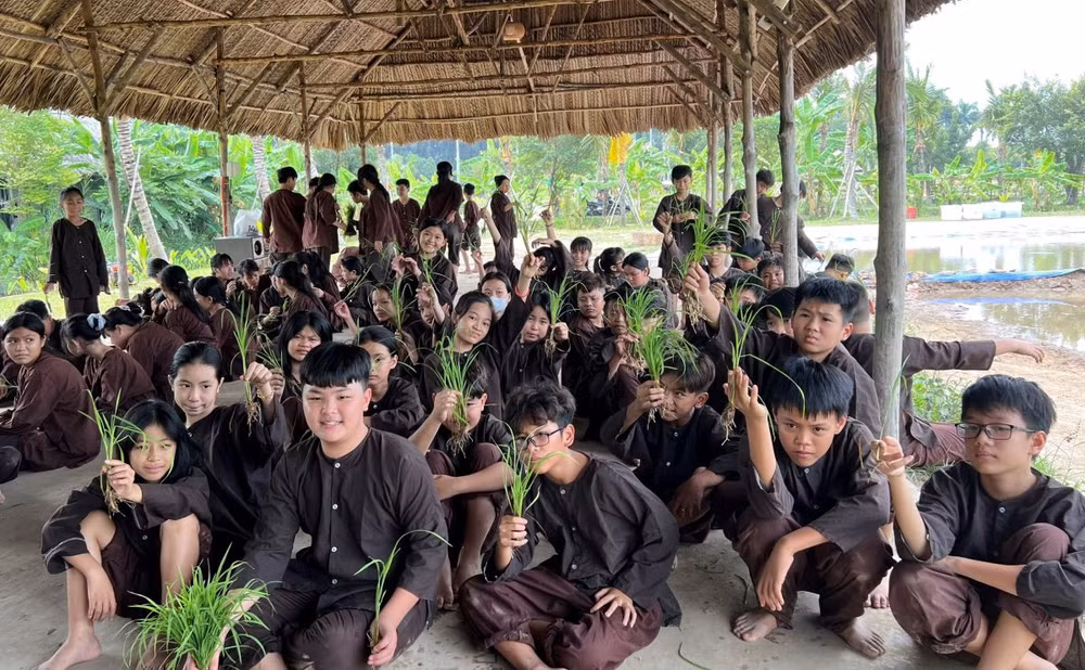 Học sinh tham gia trải nghiệm trồng lúa tại khu du lịch phức hợp giải trí Khang Thông-Happyland (Bến Lức, Long An).