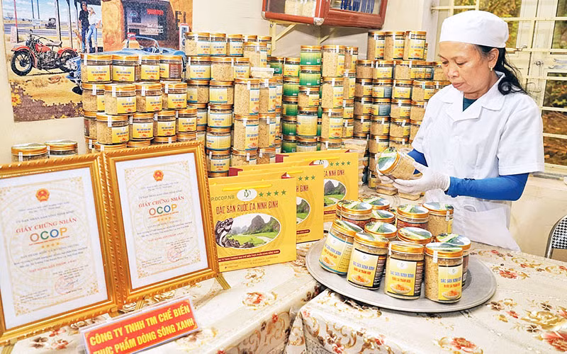 Sản phẩm ruốc cá Ninh Bình đạt chứng nhận OCOP 4 sao. (Ảnh LÊ HỒNG)