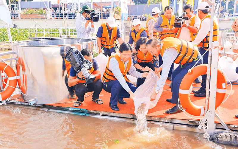 Các đại biểu tham gia thả cá giống xuống sông Tiền tại thành phố Hồng Ngự, tỉnh Đồng Tháp.