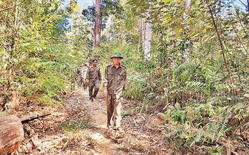 Công nhân Công ty TNHH MTV Lâm nghiệp Đăk Tô, tỉnh Kon Tum tuần tra phòng cháy, chữa cháy rừng.