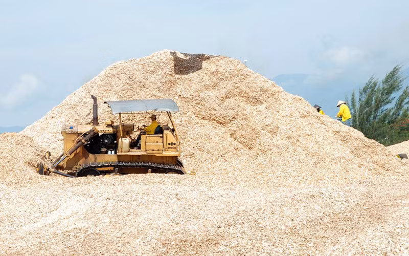 Sản xuất dăm gỗ xuất khẩu tại Công ty TNHH Hào Hưng (Thành phố Hồ Chí Minh).