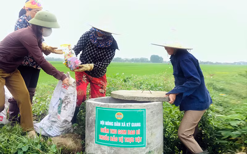 Hội viên Hội Nông dân xã Kỳ Giang, huyện Kỳ Anh, tỉnh Hà Tĩnh thu gom vỏ thuốc bảo vệ thực vật trên đồng ruộng. (Ảnh PHAN LÝ)