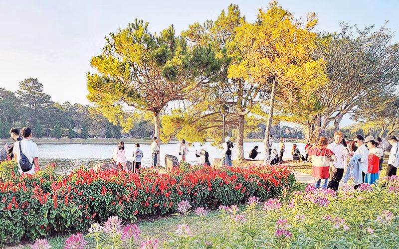 Du khách đến với thành phố ngàn hoa Đà Lạt.