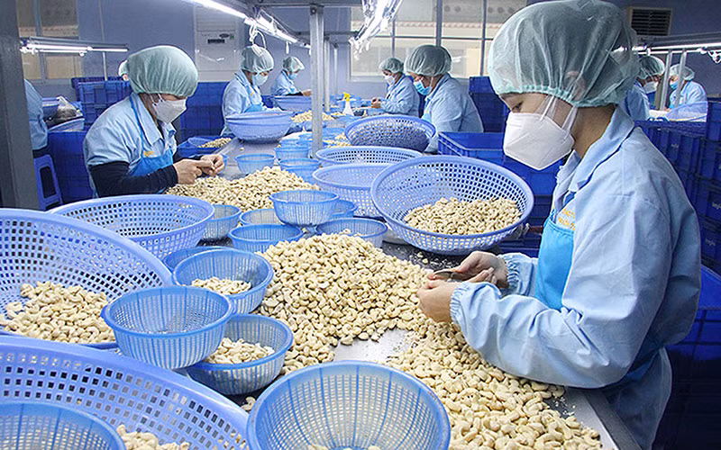 Sản xuất nhân hạt điều xuất khẩu ở một doanh nghiệp thuộc khu công nghiệp tại Phú Yên. (Ảnh VIỆT AN)