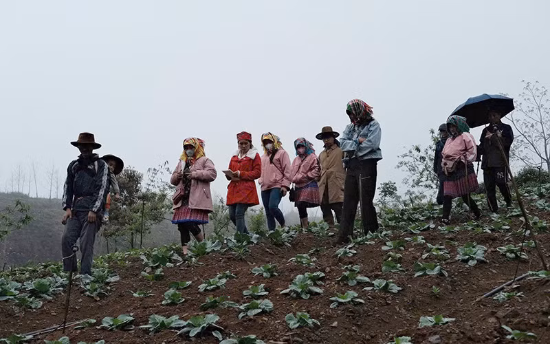 Các bà mẹ người H'Mông trong chuyến học làm nông tại Mộc Châu, Sơn La.