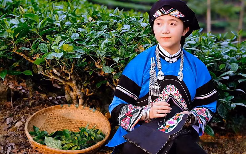 Lồ Phà Tú Anh là cô gái Bố y, cũng là tác giả của clip giành giải nhất Cuộc thi “Tinh hoa Việt Nam”.