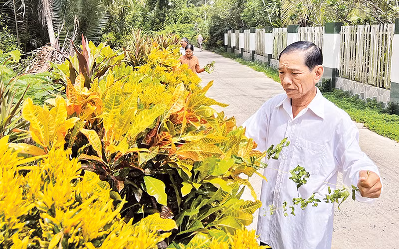 Người dân tham gia “Ngày chủ nhật nông thôn mới” tại xã Tân Thanh Tây, huyện Mỏ Cày Bắc.