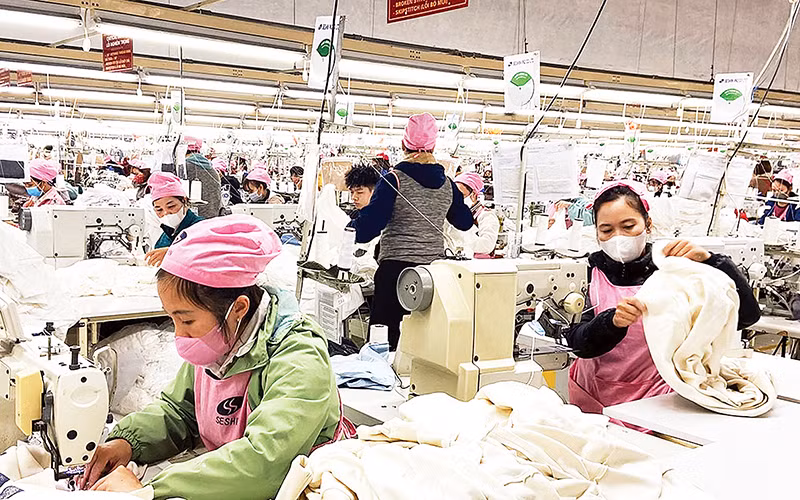 Nhà máy sản xuất hàng may mặc xuất khẩu của Công ty TNHH MTV Seshin VN2, thành phố Tuyên Quang. (Ảnh Dương Châu)