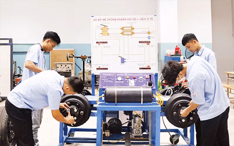 Sinh viên Trường cao đẳng nghề Thành phố Hồ Chí Minh được đào tạo các chương trình chú trọng thực hành và nâng cao kỹ năng nghề.