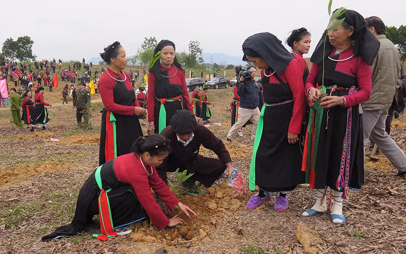 Nhân dân các dân tộc tỉnh Tuyên Quang tích cực tham gia phong trào trồng cây, gây rừng.