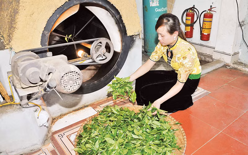 Công đoạn sấy trà. Công đoạn sấy trà.